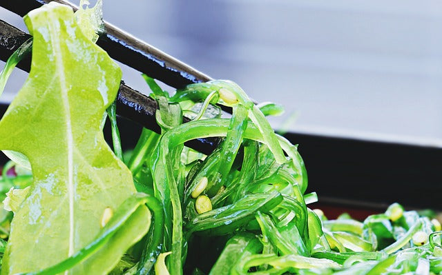 Sea moss recipes