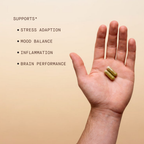 Adaptogenic Wellness Blend Capsules